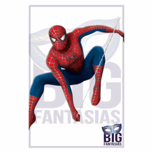 HOMEM ARANHA